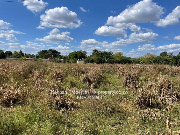 Old Malborough Stand For Sale  