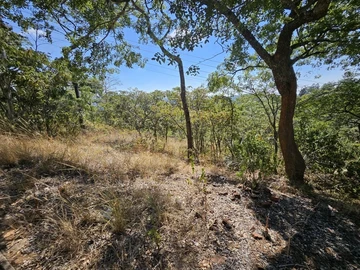 Land