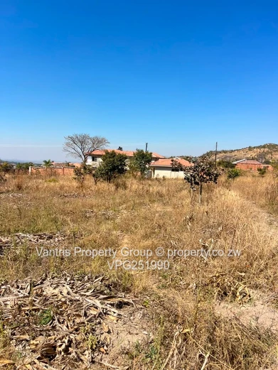 Palm village stands for sale !!!!