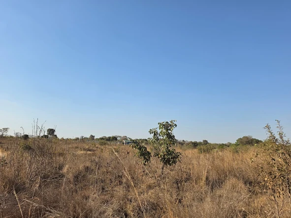 Farm & Agricultural Land