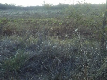 Farm & Agricultural Land