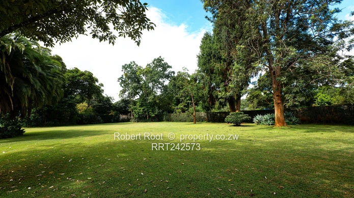 Family Home In The Heart Of Mt Pleasant (Sole Mandate)