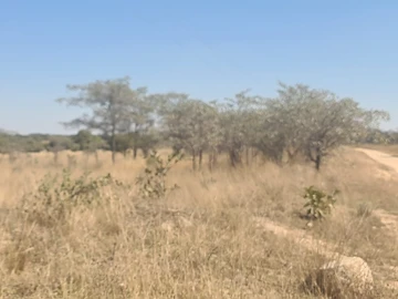 Farm & Agricultural Land
