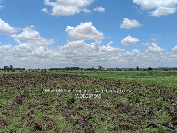 Mt Hampden land For Sale