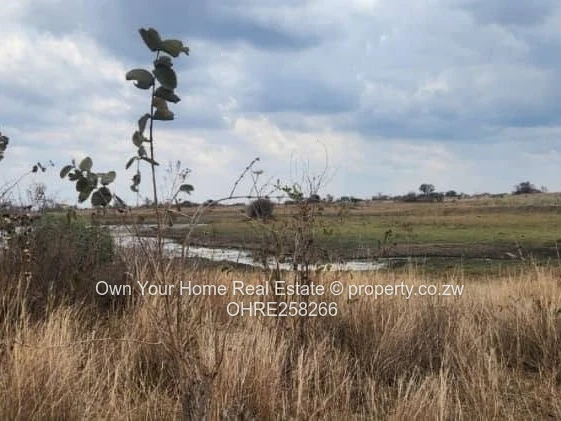 Nyabira Stand For Sale