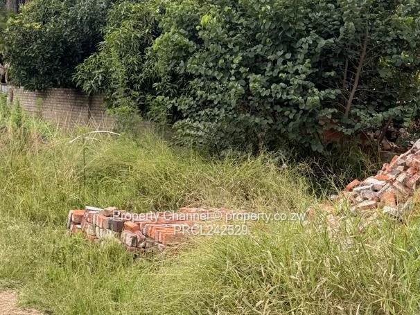 Prime 2000m² Commercial/Industrial Lot in Avondale