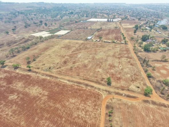 Farm & Agricultural Land