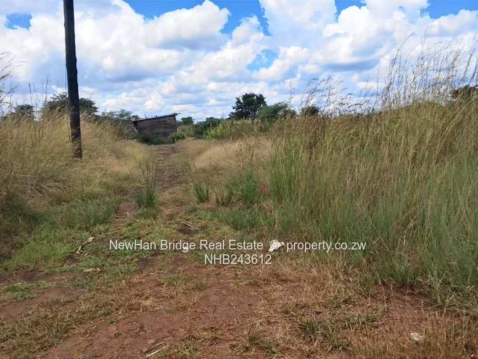 Norton Galloway For Sale