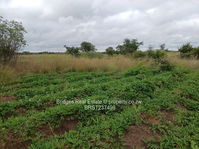 Fast establishing suburb in Gweru North! (Sole Mandate)