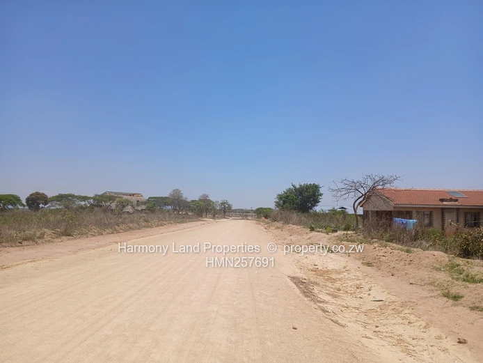 Executive Low Density Stands- Ridgemont Park, Rusape (Sole Mandate)