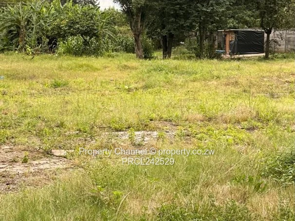 Prime 2000m² Commercial/Industrial Lot in Avondale