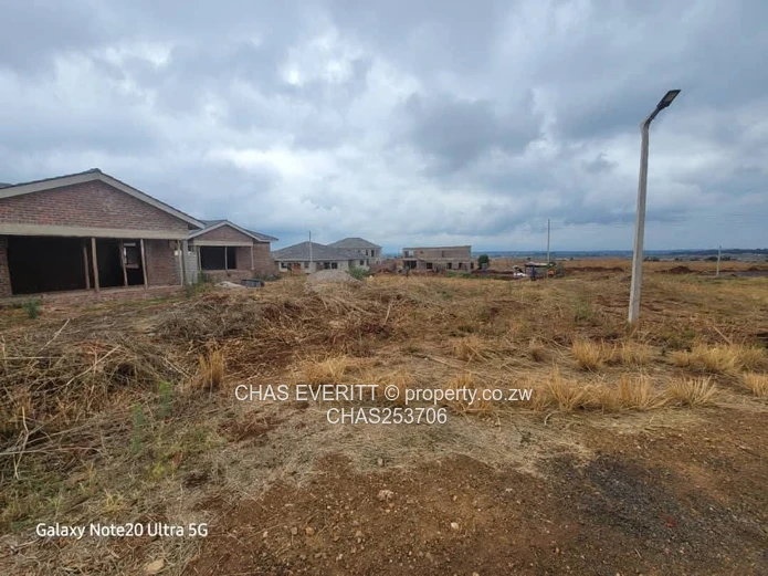 Nyeredzi Ridge Pomona stand for sale 