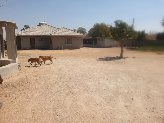 Ruwa old Windsor Park house to rent  (Sole Mandate)
