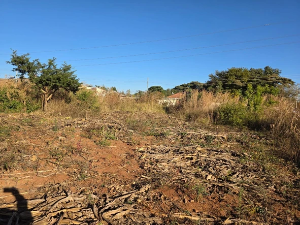 Stands & Residential Land
