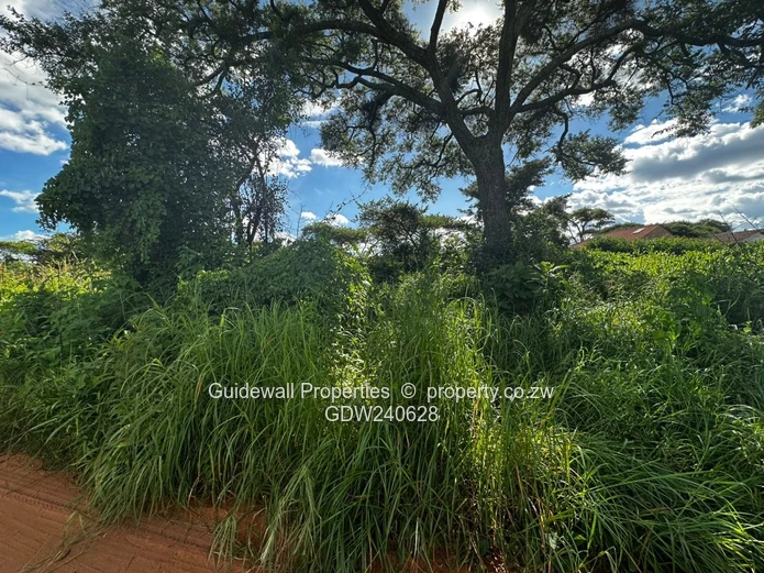 Crowhill stands for sale, a choice of 2  (Sole Mandate)