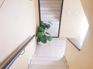 2 Bedroom Flat & Apartment