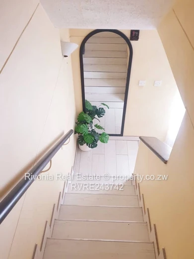 Cbd Proximity To All Anemites