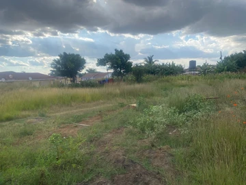 Stands & Residential Land