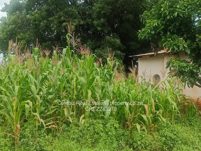 Prime land for sale in Glen Forest 