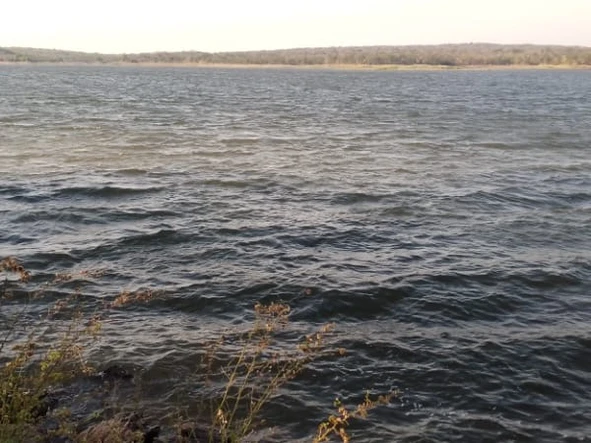 Commercial & Industrial Land