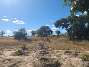 Farm & Agricultural Land