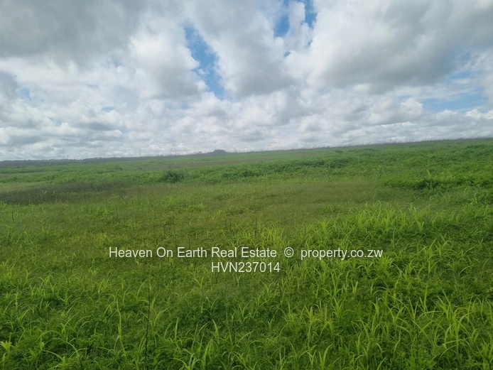 Green Gold For You Farmers!!