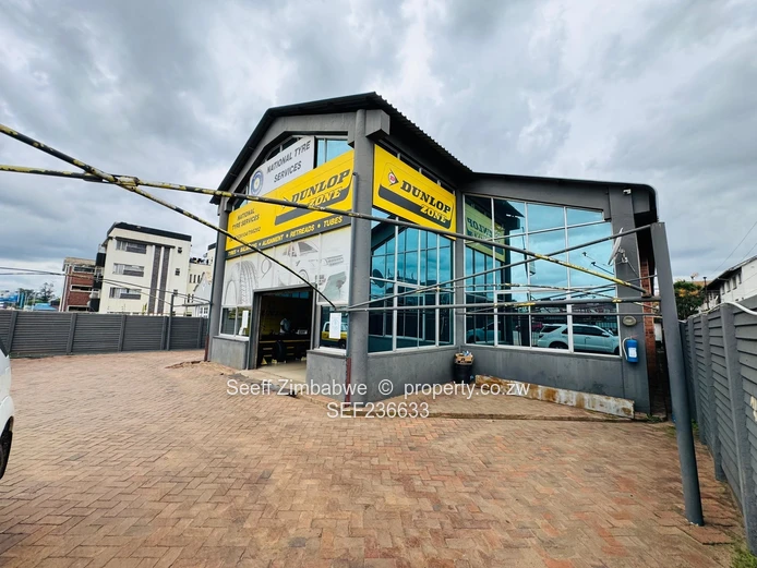 Prime Commercial Opportunity on Samora Machel Avenue (Sole Mandate)
