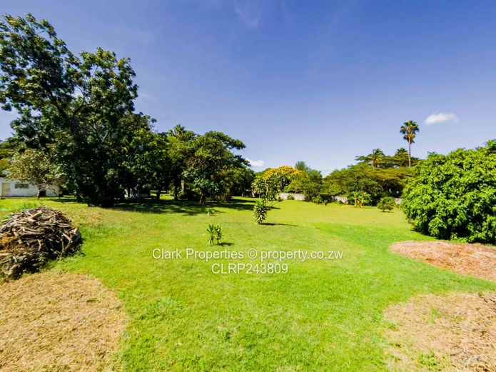 Developers Delight  (Sole Mandate)