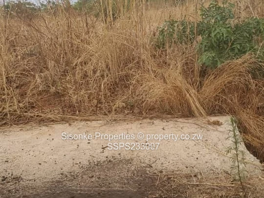 980m² Stand for sale in Pomona