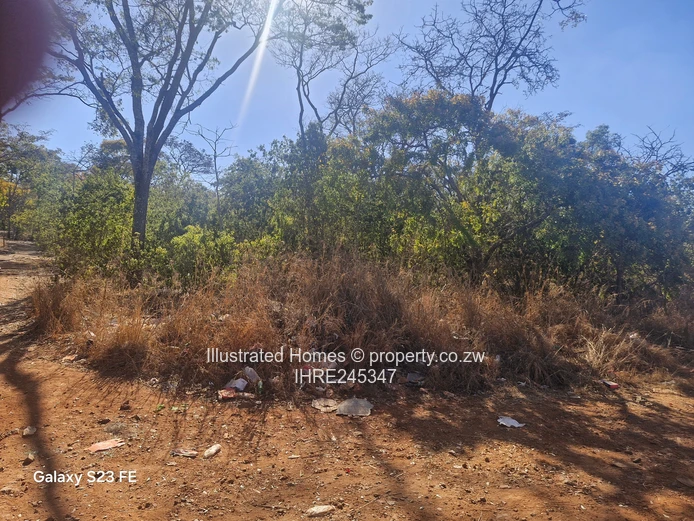 41ha Crowhill Views - Subdividable Land with Main Road Frontage