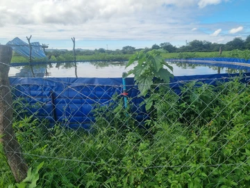 Farm & Agricultural Land