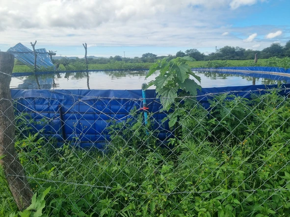 Farm & Agricultural Land