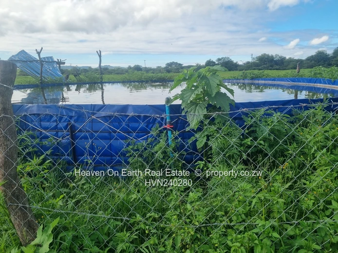 Farm For Sale In Masvingo