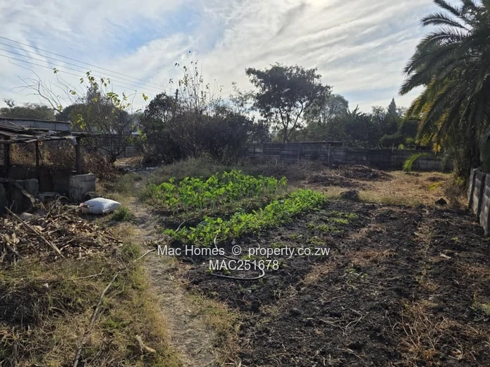Bluffhill Solid House For Sale