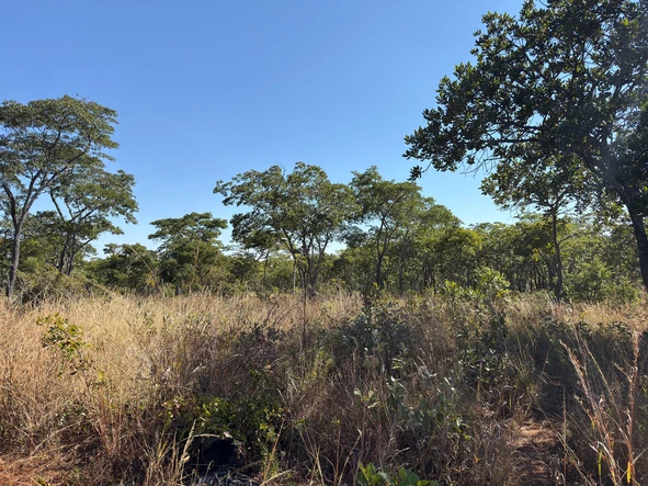 Farm & Agricultural Land
