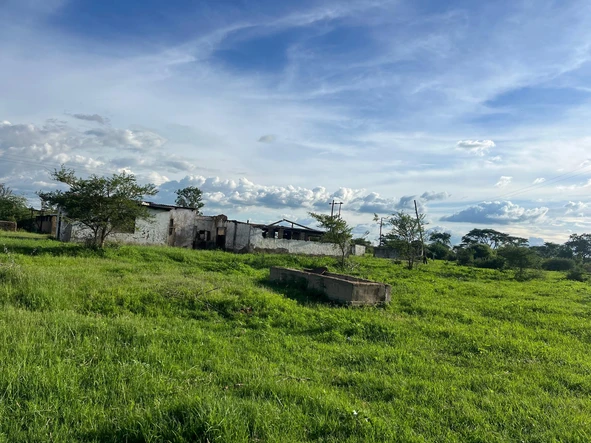 Farm & Agricultural Land