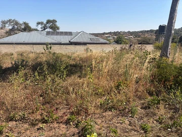 Stands & Residential Land