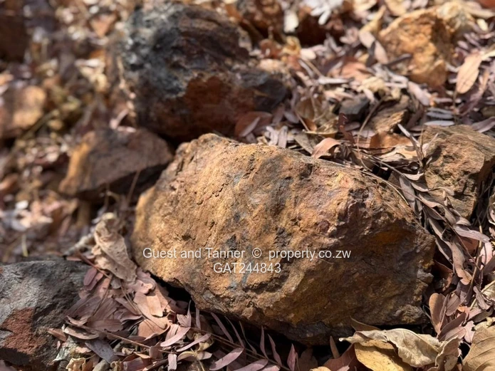 Makaha Gold Mine Opportunity