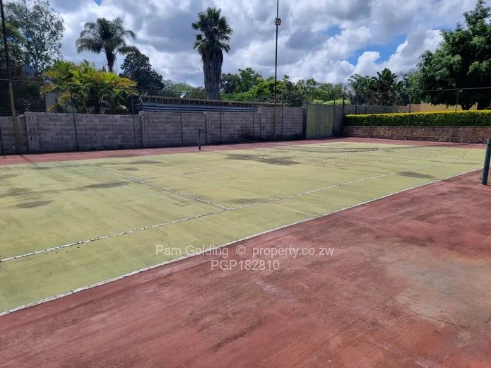 Paradise Found. Your Burnside Oasis Awaits.