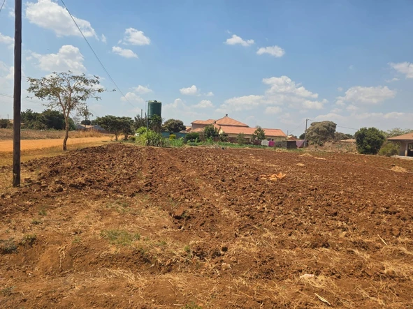 Stands & Residential Land