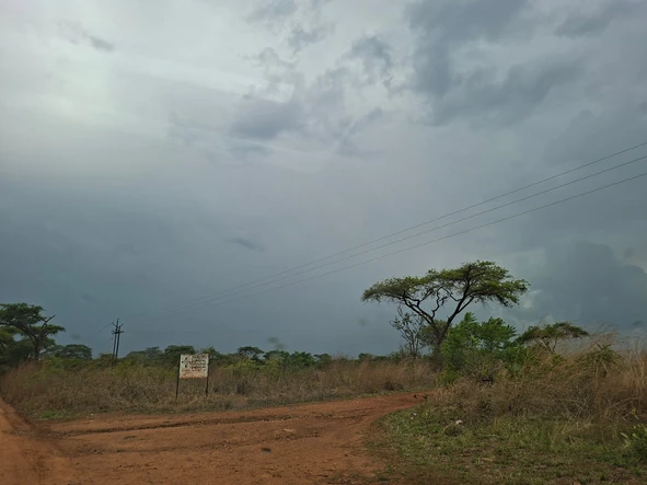 Farm & Agricultural Land