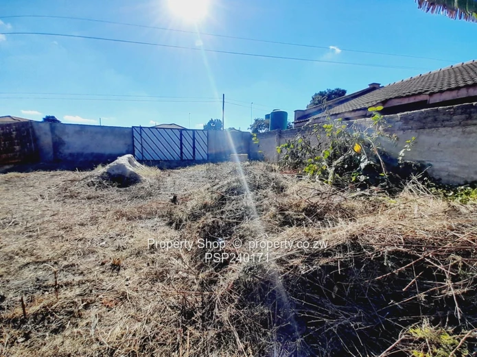 Damofall Phase 1 Stand for Sale