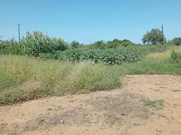 Commercial & Industrial Land