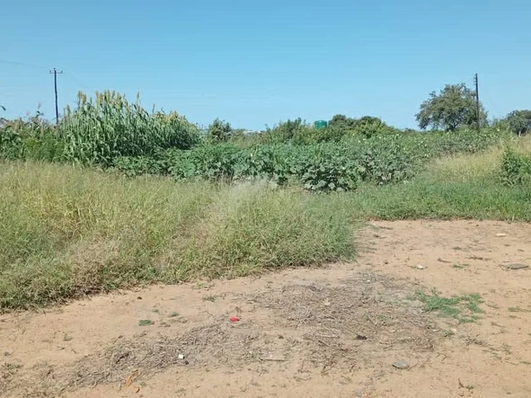 Commercial & Industrial Land