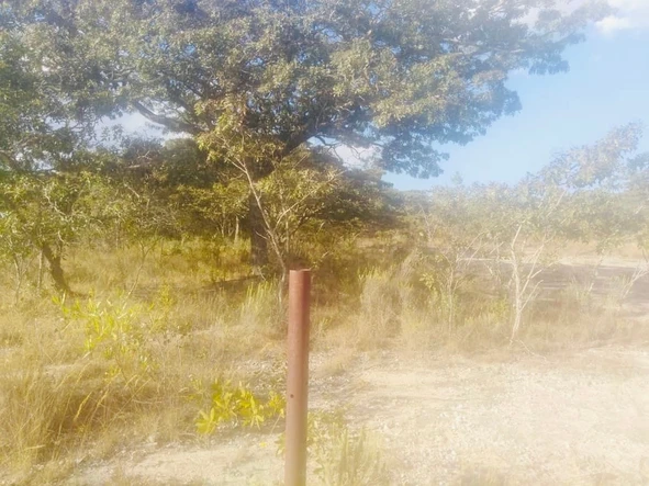 Farm & Agricultural Land