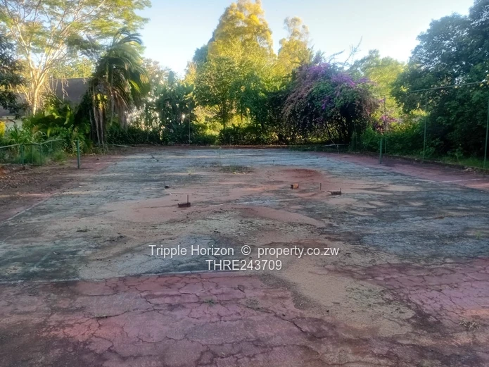 Excellent Location! Samy Levy Village!