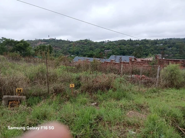 Land