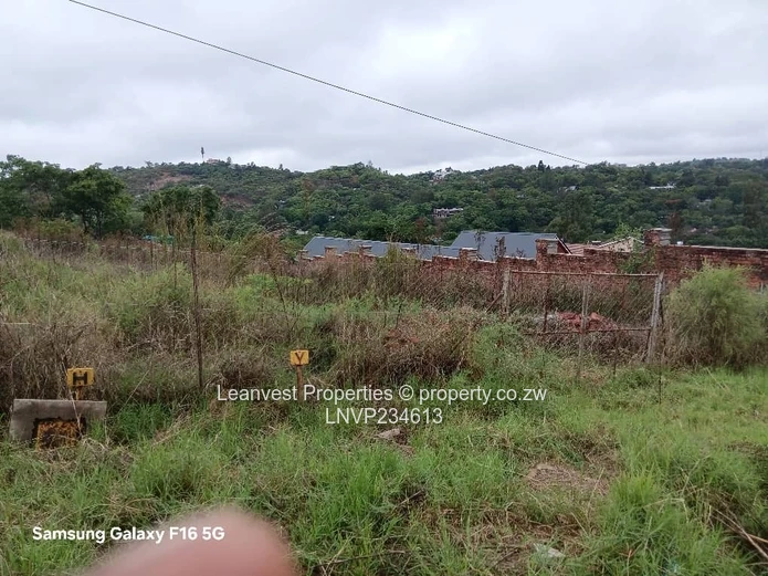 Stand For Sale In Borrowdale Helensvale 