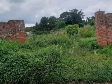 Land