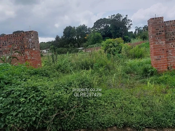 2000m² Subdividable Plot on New Tarred Road, The Grange